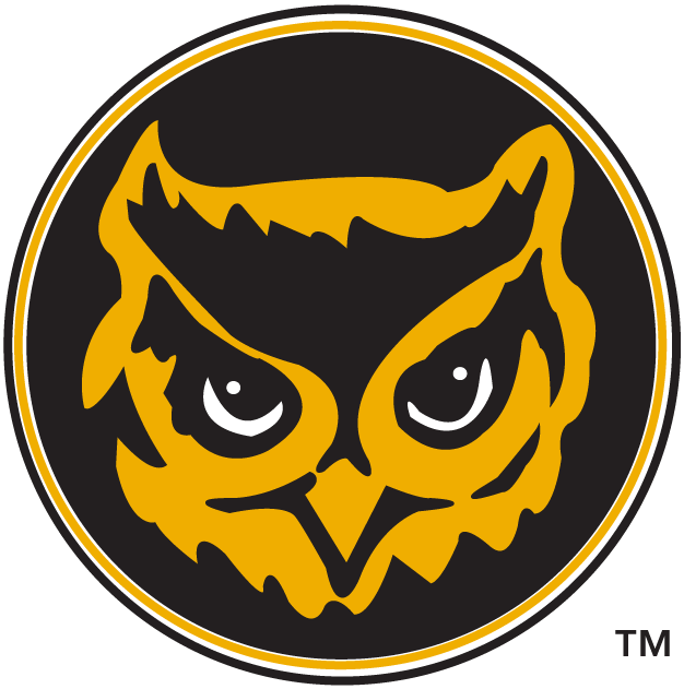 Kennesaw State Owls 1992-2011 Alternate Logo t shirts DIY iron ons